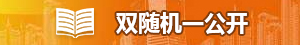 雙隨機一公開
